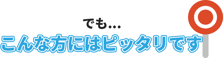 でも、こんな方にはピッタリです
